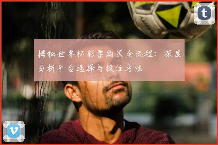 揭秘世界杯彩票购买全流程：深度分析平台选择与投注方法