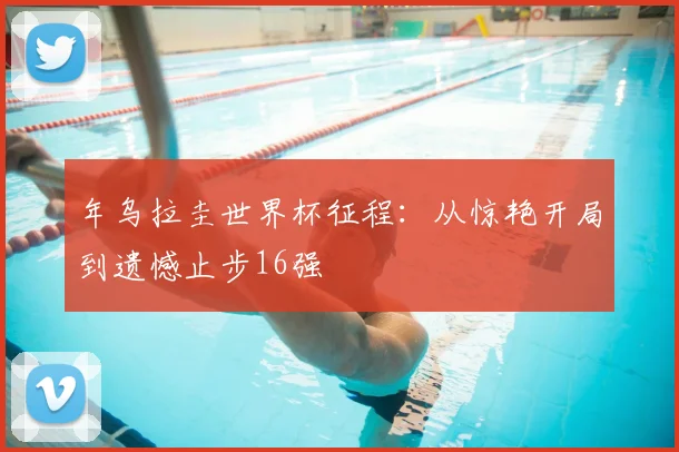 年乌拉圭世界杯征程：从惊艳开局到遗憾止步16强